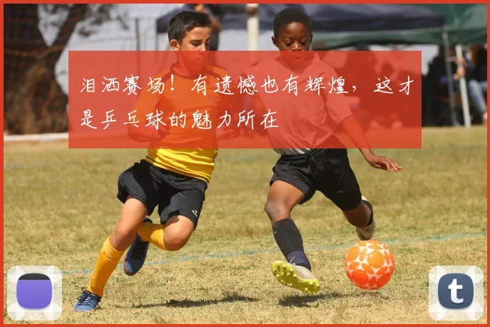 泪洒赛场!有遗憾也有辉煌,这才是乒乓球的魅力所在